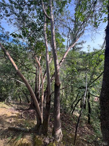 321 Portofino Way, Cloverdale, CA 95425