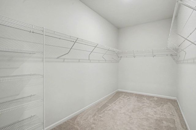 509 Covewood Ct., Longs, SC 29568