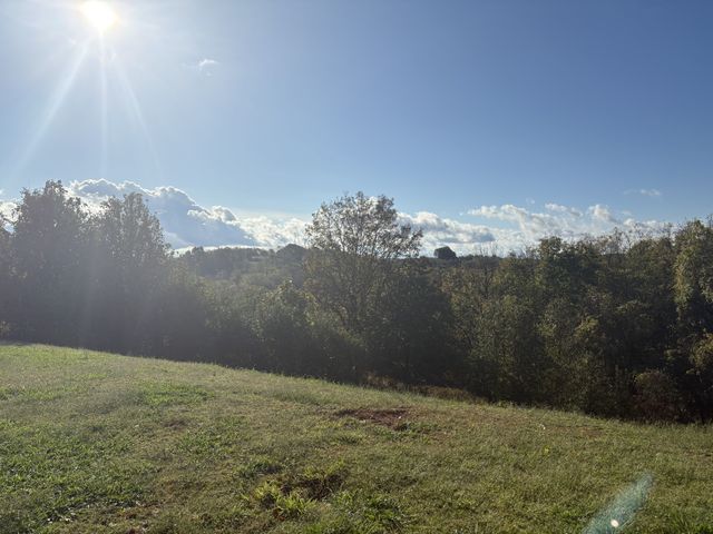 257 Milky Way Dr, Pulaski, TN 38478