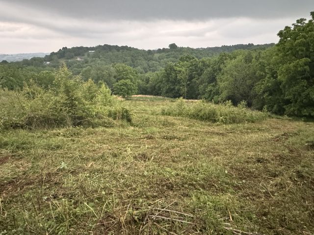 257 Milky Way Dr, Pulaski, TN 38478