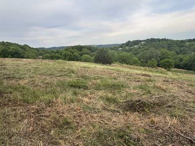 257 Milky Way Dr, Pulaski, TN 38478