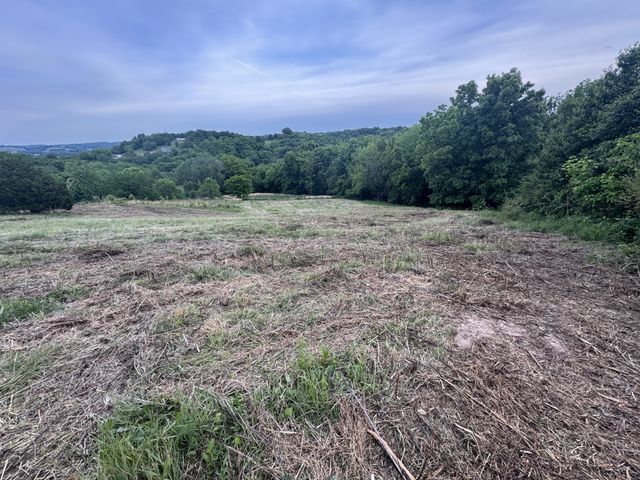 257 Milky Way Dr, Pulaski, TN 38478