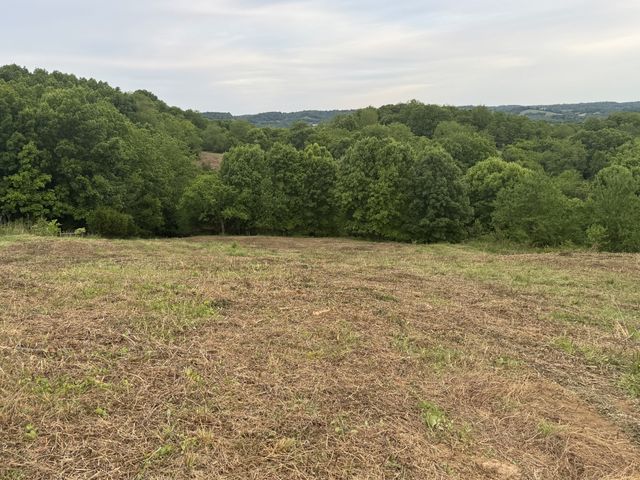 257 Milky Way Dr, Pulaski, TN 38478