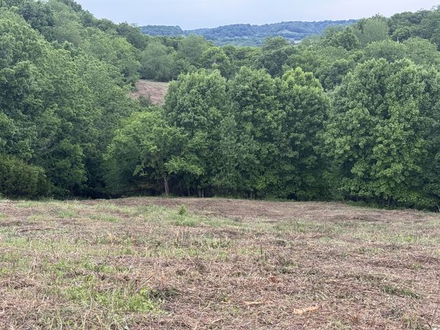 257 Milky Way Dr, Pulaski, TN 38478