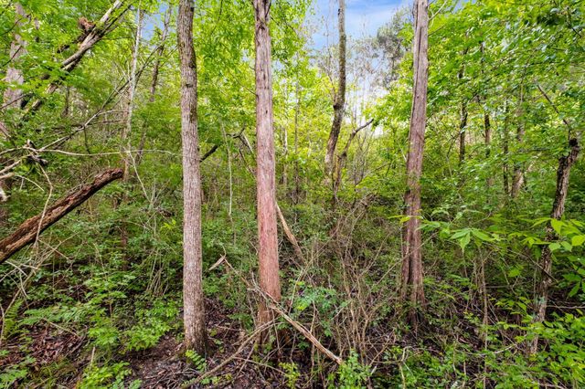 0 Canterbury Trail, Mount Juliet, TN 37122