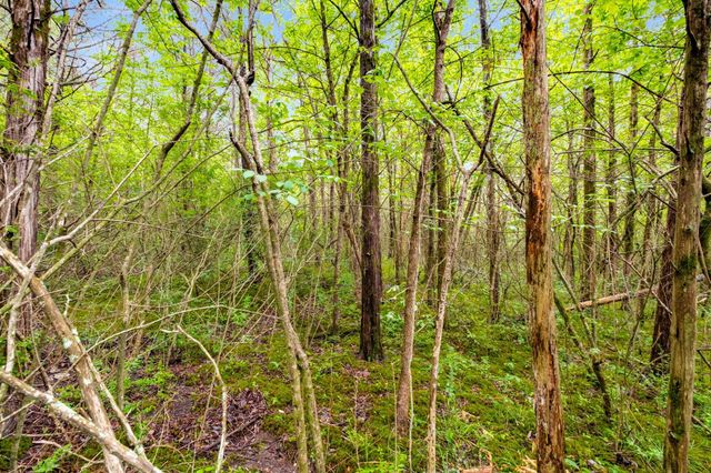 0 Canterbury Trail, Mount Juliet, TN 37122