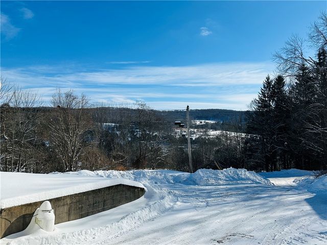 883 Herrick Hollow Road, Tompkins, NY 13839