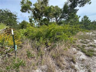 439 Hoover Avenue NE, Lake Placid, FL 33852