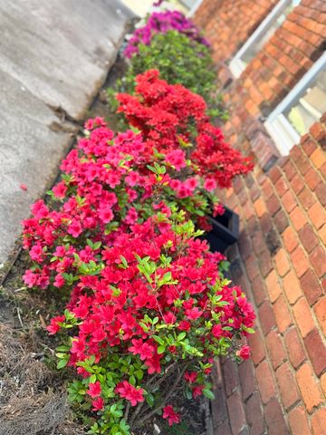 5483 BRANTFORD RD, Memphis, TN 38120