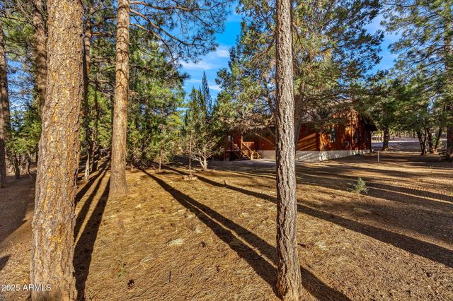 2202 FOREST PARK Drive, Overgaard, AZ 85933