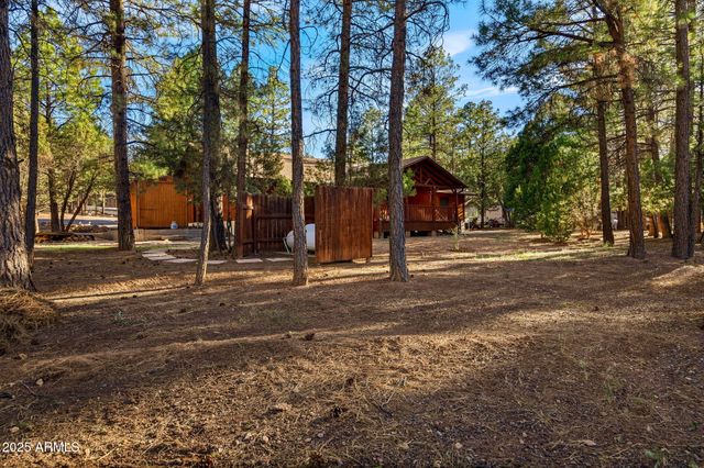 2202 FOREST PARK Drive, Overgaard, AZ 85933