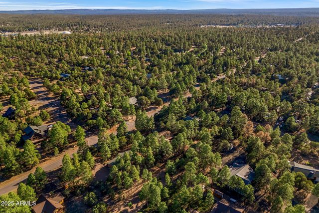 2202 FOREST PARK Drive, Overgaard, AZ 85933