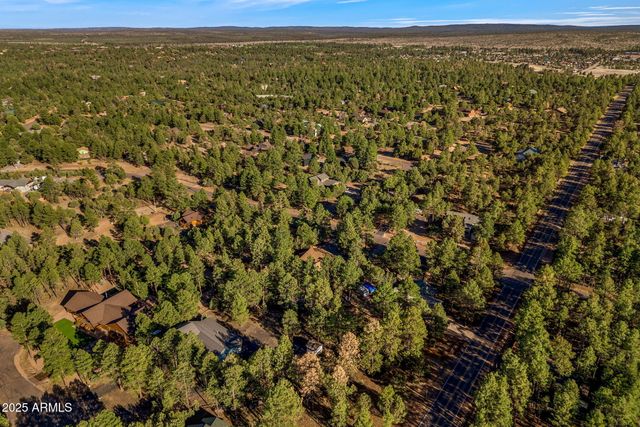 2202 FOREST PARK Drive, Overgaard, AZ 85933