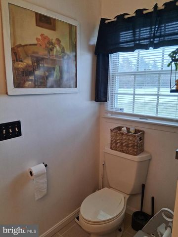 10691 RIFLE RANGE RD, Bridgeville, DE 19933