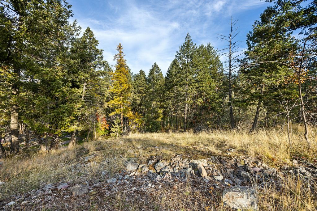 147 Bjork Drive, Bigfork, MT 59911 photo 3