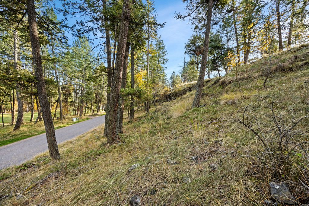 147 Bjork Drive, Bigfork, MT 59911 photo 4