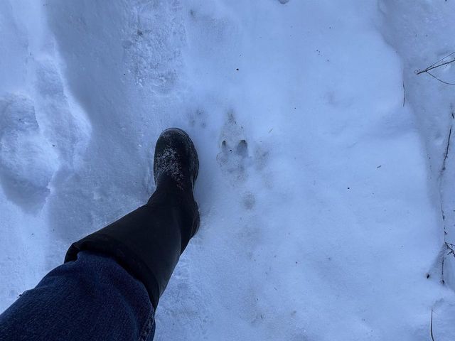 W4362 W County Road A Road, Pine River, WI 54965