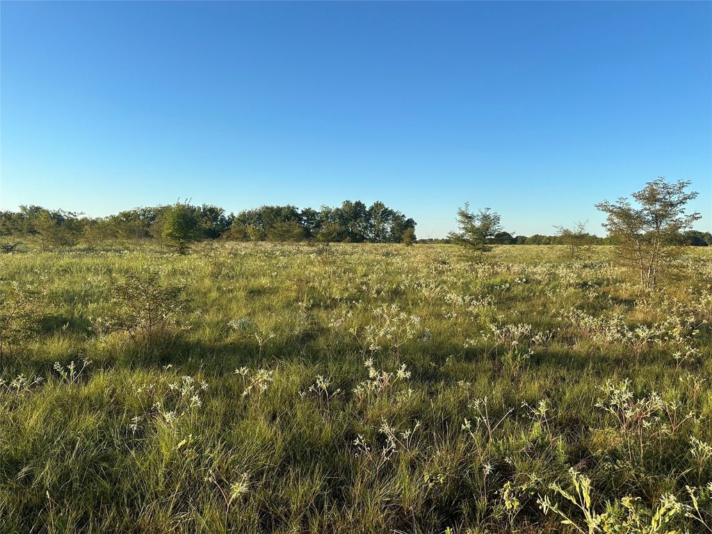 NA CR 3660, Ladonia, TX 75449