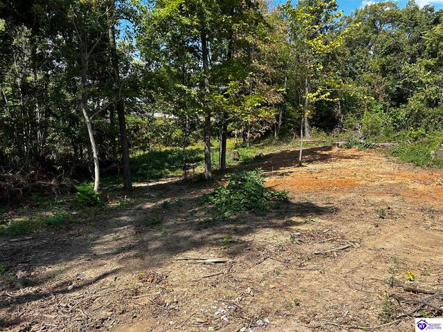 33505 Joe Prather Highway, Brandenburg, KY 40108