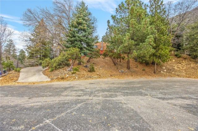 6461 Cedar Avenue, Angelus Oaks, CA 92305