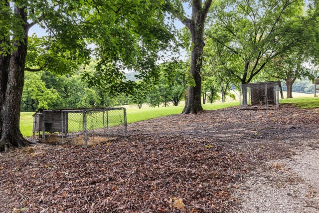 380 Webbs Camp Rd, Walling, TN 38587