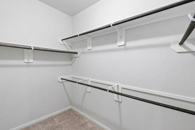 5018 Yellow Ginko Trail, Spring, TX 77373
