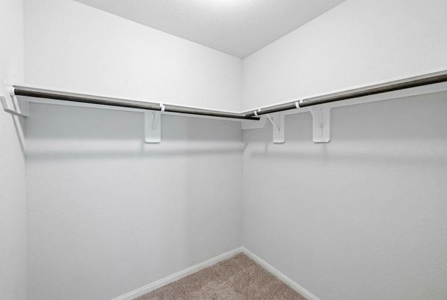 5018 Yellow Ginko Trail, Spring, TX 77373