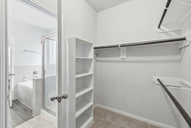 5018 Yellow Ginko Trail, Spring, TX 77373