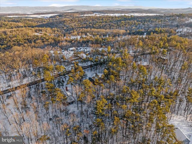 7239 SUPINLICK RIDGE RD, Mount Jackson, VA 22842