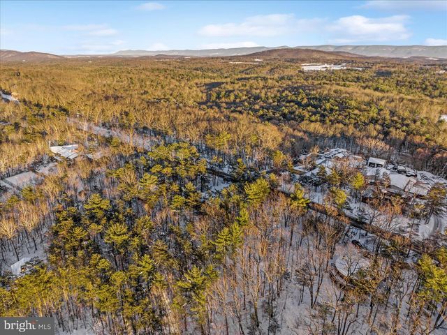 7239 SUPINLICK RIDGE RD, Mount Jackson, VA 22842