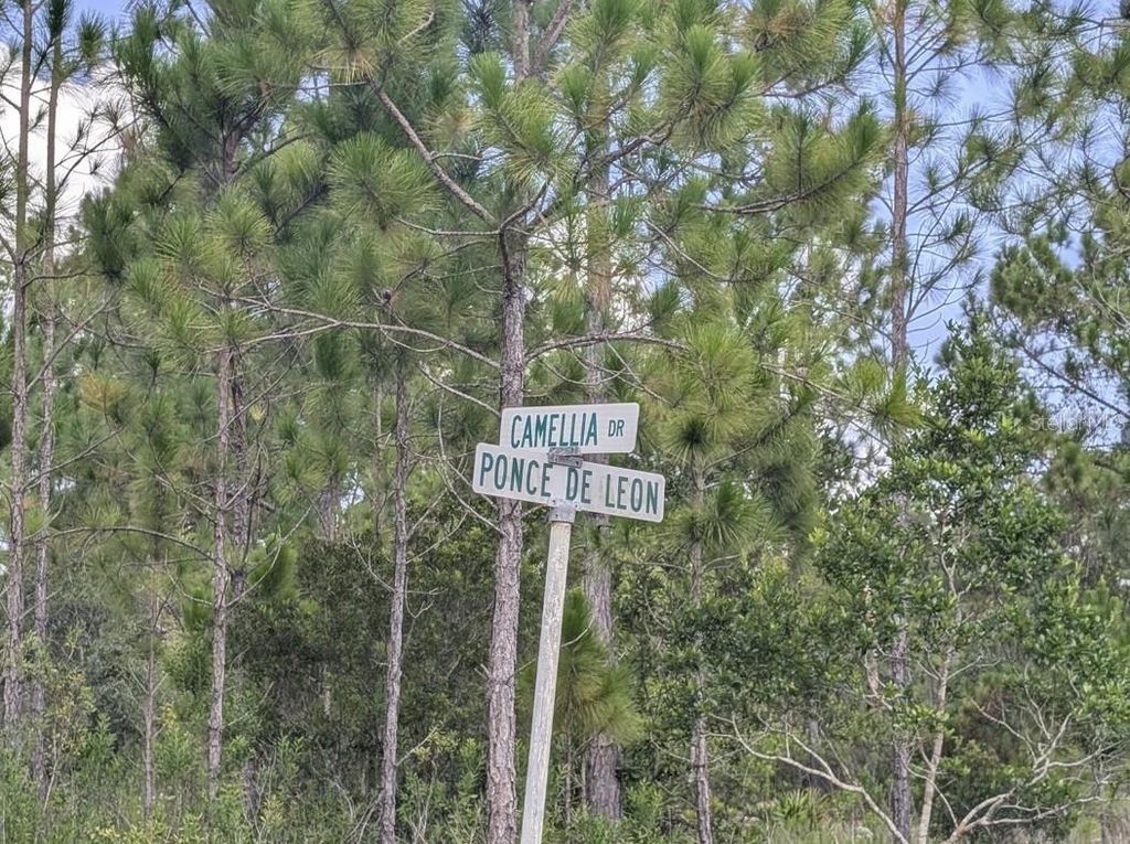 401 CAMELLIA DRIVE, Indian Lake Estates, FL 33855