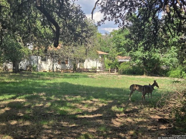 6810 Dorothy Louise, San Antonio, TX 78229