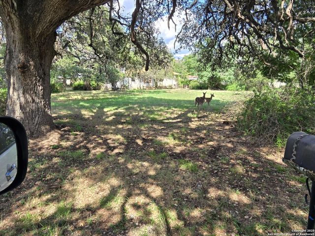 6810 Dorothy Louise, San Antonio, TX 78229