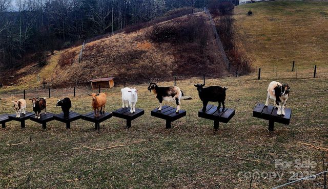 215 Old Macedonia Road, Asheville, NC 28804