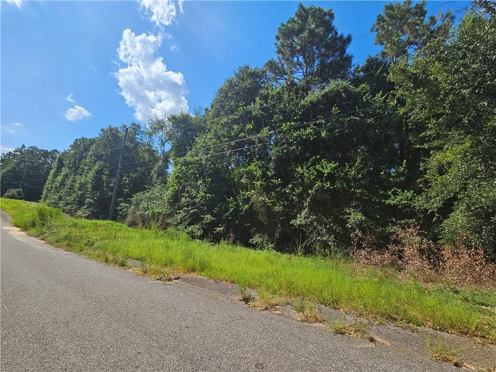 0 Ashley Drive, Eight Mile, AL 36613 — photo 2