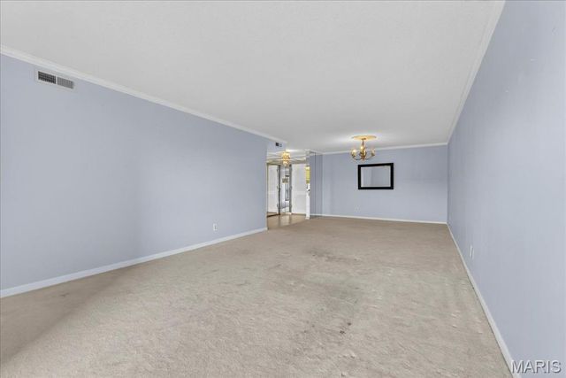 572 Coeur De Royale Drive 306, St Louis, MO 63141