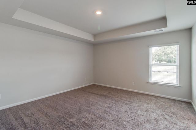 72 Blue Fescue Way, Columbia, SC 29209