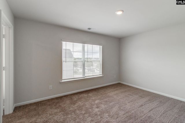 72 Blue Fescue Way, Columbia, SC 29209