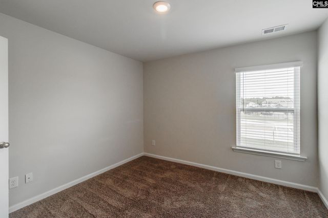 72 Blue Fescue Way, Columbia, SC 29209