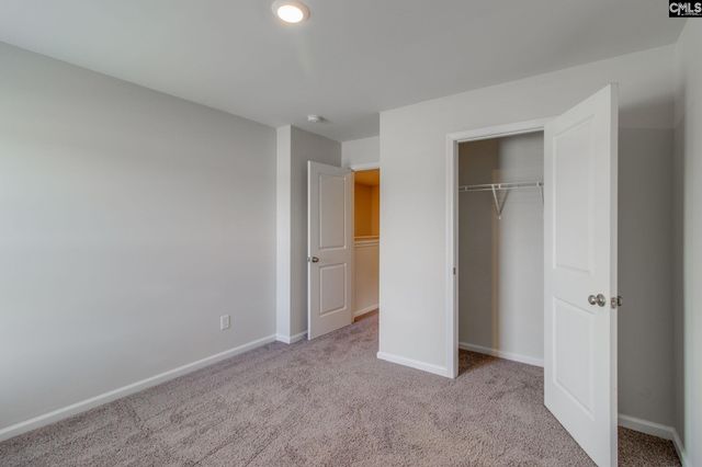 72 Blue Fescue Way, Columbia, SC 29209