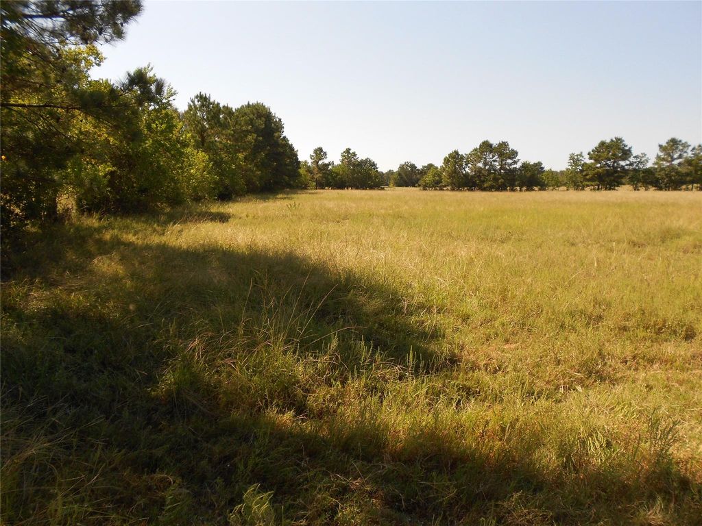 TBD Turner Street, Groveton, TX 75845