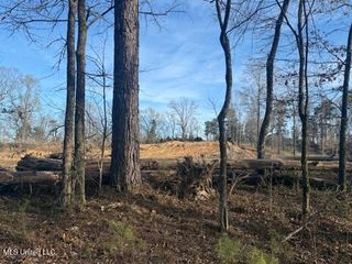 Lot 2 Slocum Road, Hernando, MS 38632