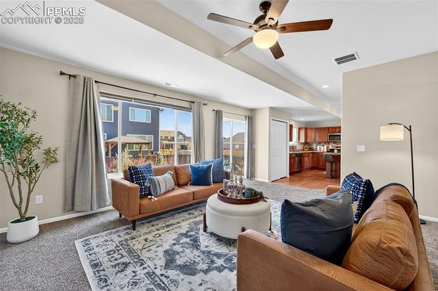 7913 Dry Willow Way, Colorado Springs, CO 80908