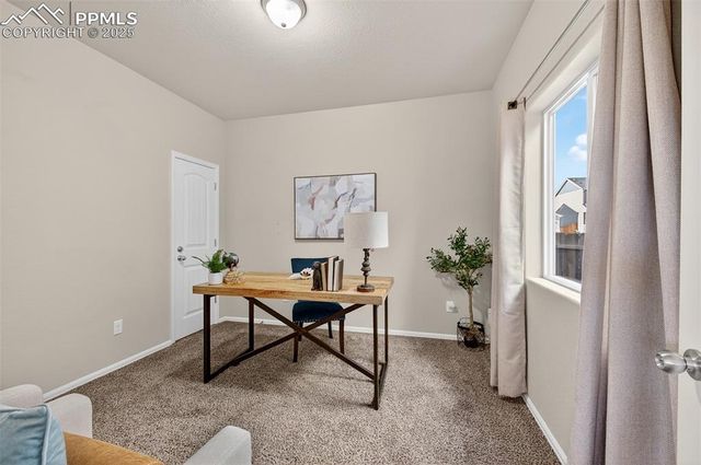 7913 Dry Willow Way, Colorado Springs, CO 80908