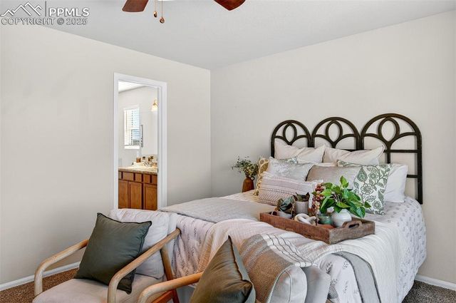 7913 Dry Willow Way, Colorado Springs, CO 80908