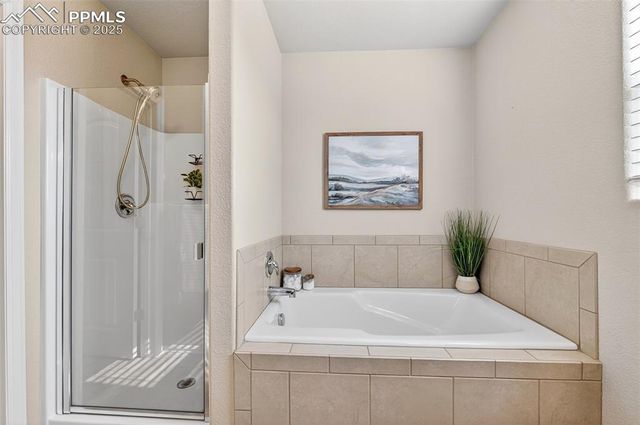 7913 Dry Willow Way, Colorado Springs, CO 80908