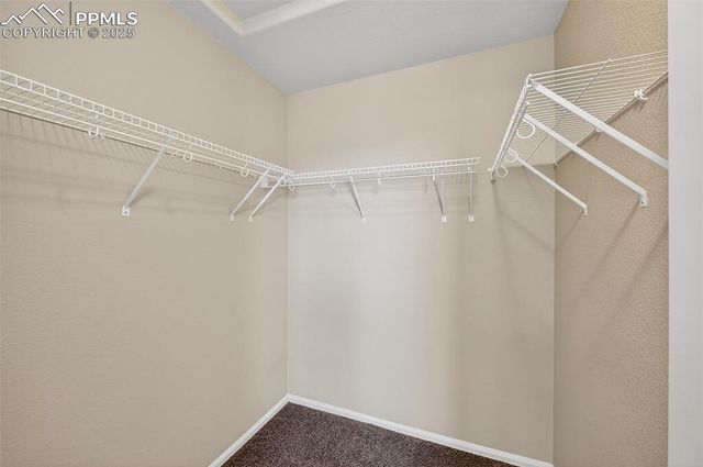 7913 Dry Willow Way, Colorado Springs, CO 80908