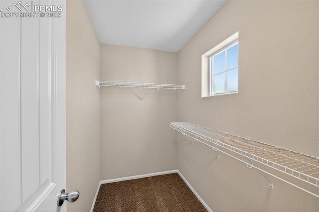 7913 Dry Willow Way, Colorado Springs, CO 80908