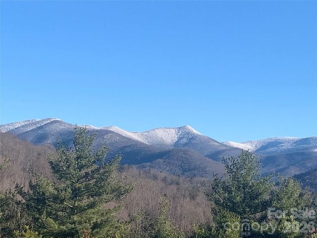31 Bear Den Road, Asheville, NC 28805