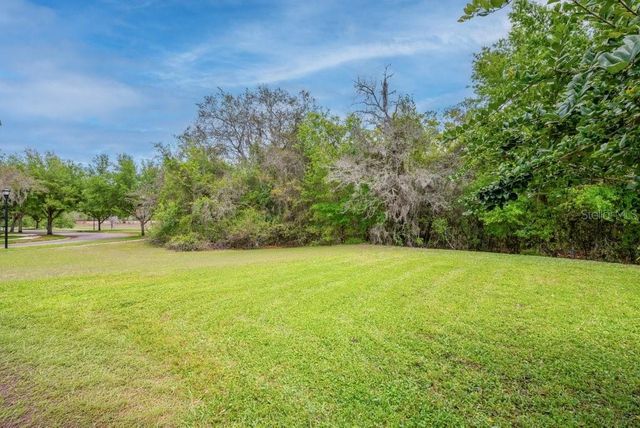 5204 BANNISTER PARK LANE, Lithia, FL 33547